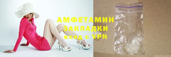 индика Алзамай
