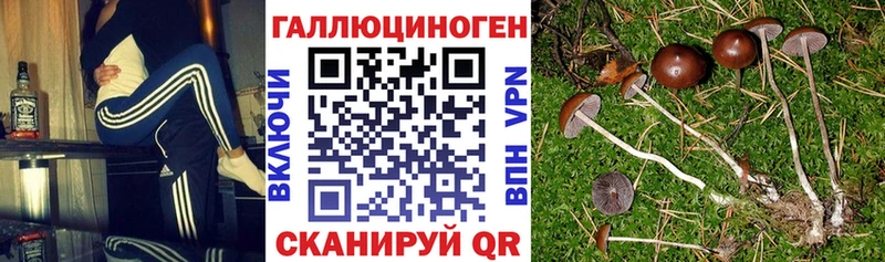 Псилоцибиновые грибы прущие грибы  продажа наркотиков  Донской 
