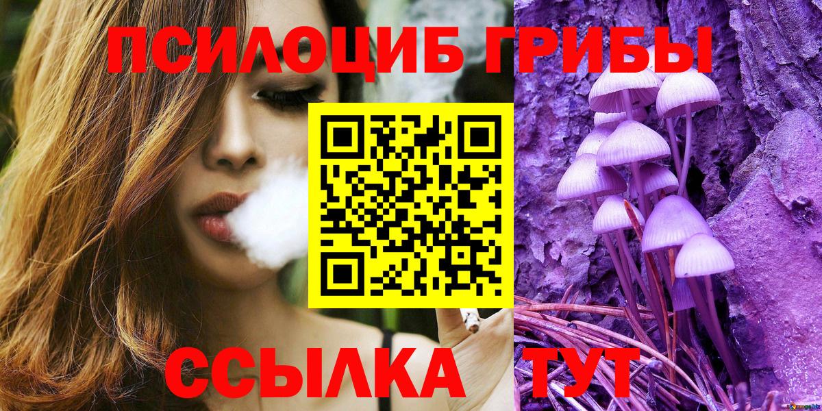 Галлюциногенные грибы Psilocybe Донской