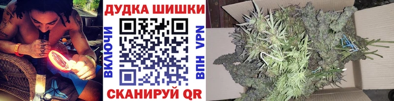 Каннабис индика Донской